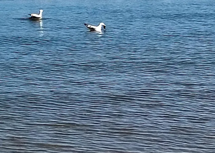 Incantevole A Due Passi Dal Mare A Viserbella Vicino Fiera