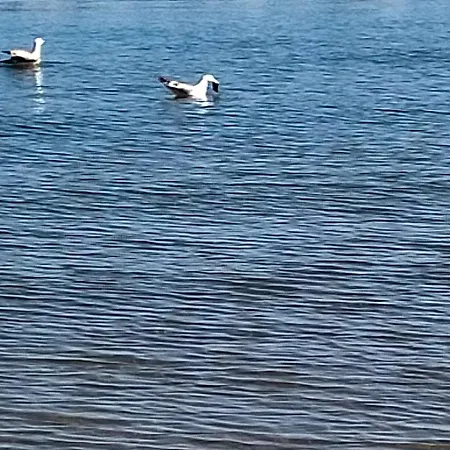 Incantevole A Due Passi Dal Mare A Viserbella Vicino Fiera